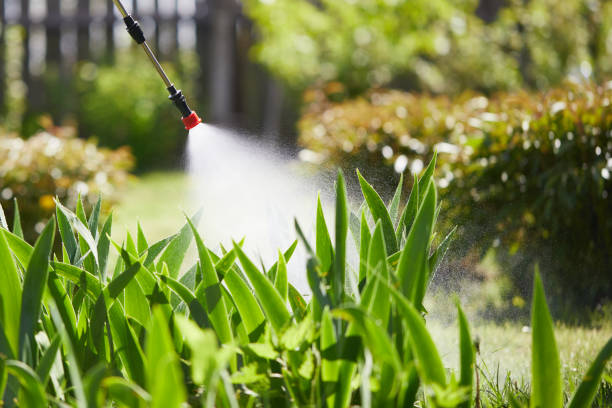 24/7 Emergency Ant Control experts in Berne, IN